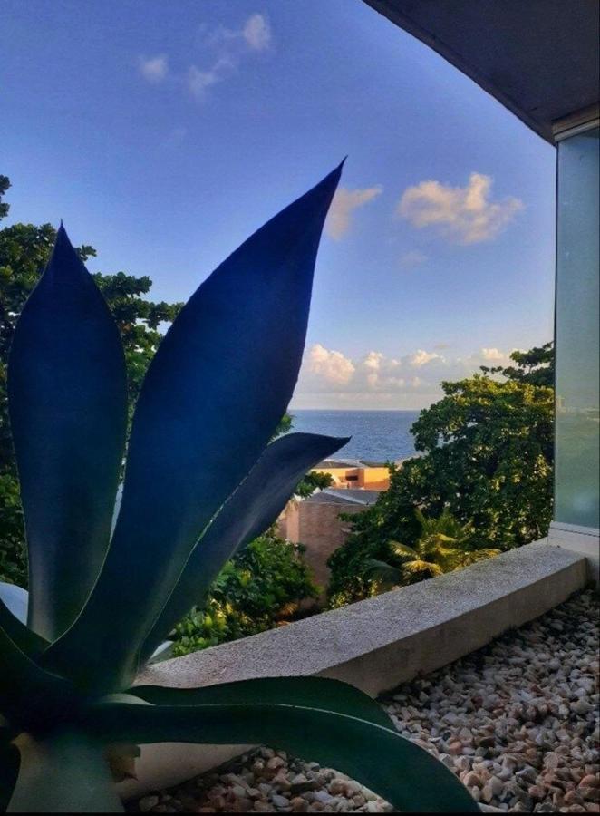 Studio Encantador Em Ondina Salvador Eksteriør bilde